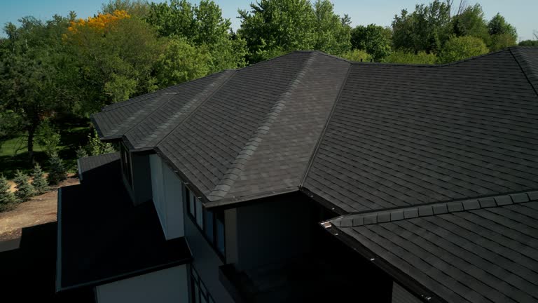 Best Solar Panel Roofing Installation  in Zephyrhills, FL