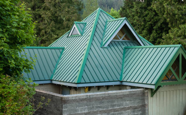 Best Metal Roofing Installation  in Zephyrhills, FL