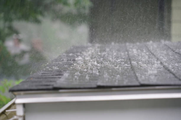 Best Wood Shake Roofing  in Zephyrhills, FL