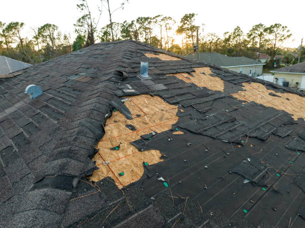 Asphalt Shingles Roofing in Zephyrhills, FL