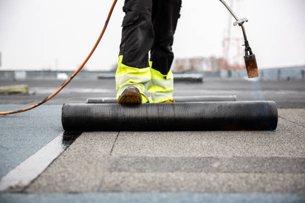 Best Roof Installation  in Zephyrhills, FL