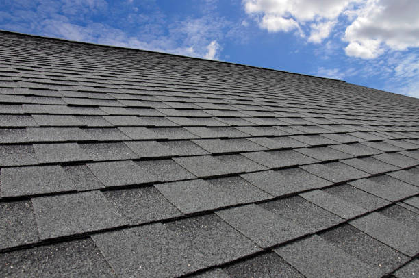Best Skylight Installation and Repair  in Zephyrhills, FL