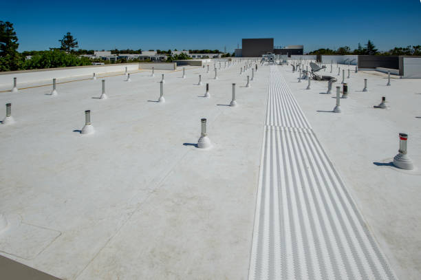 Best 4 Ply Roofing  in Zephyrhills, FL
